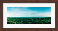 High angle view of trees with Atlantic Ocean at Fort Tilden beach, Queens, New York City, New York State, USA Fine Art Print