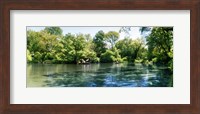 Pond in the Central Park, Manhattan, New York City, New York State, USA Fine Art Print