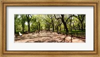 Central Park, New York City, New York State Fine Art Print