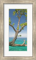 Tree overhanging sea at Xtabi Hotel, Negril, Westmoreland, Jamaica Fine Art Print