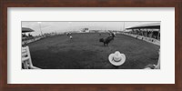 Cowboy riding bull at rodeo arena, Pecos, Texas, USA Fine Art Print