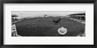 Cowboy riding bull at rodeo arena, Pecos, Texas, USA Fine Art Print