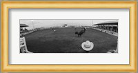 Cowboy riding bull at rodeo arena, Pecos, Texas, USA Fine Art Print