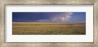 Lone windmill in a field, New Mexico, USA Fine Art Print