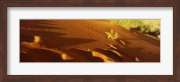 Sand dunes in a desert, Jordan (horizontal) Fine Art Print