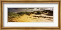 Marram grass on the beach, Sands of Forvie, Newburgh, Aberdeenshire, Scotland Fine Art Print