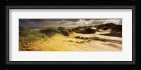 Marram grass on the beach, Sands of Forvie, Newburgh, Aberdeenshire, Scotland Fine Art Print
