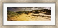 Marram grass on the beach, Sands of Forvie, Newburgh, Aberdeenshire, Scotland Fine Art Print