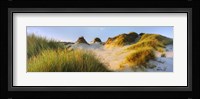 Morning light on Forvie dunes, Newburgh, Aberdeenshire, Scotland Fine Art Print