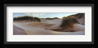 Sculpted dunes at the Sands of Forvie, Newburgh, Aberdeenshire, Scotland Fine Art Print