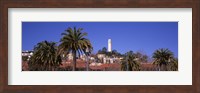 Palm trees with Coit Tower in background, San Francisco, California, USA Fine Art Print
