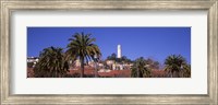 Palm trees with Coit Tower in background, San Francisco, California, USA Fine Art Print