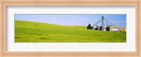 Wheat field with silos in the background, Palouse County, Washington State Fine Art Print