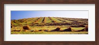 Harvested wheat field, Palouse County, Washington State, USA Fine Art Print