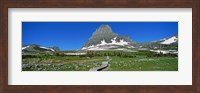 Hidden Lake Nature Trail at US Glacier National Park, Montana, USA Fine Art Print