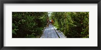 People walking on walkway in an elevated park, High Line, New York City, New York State, USA Fine Art Print