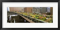 Tourists in an elevated park, High Line, Manhattan, New York City, New York State, USA Fine Art Print