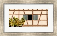 Detail of half timber house and grape vines, Strumpfelbach, Baden-Wurttemberg, Germany Fine Art Print