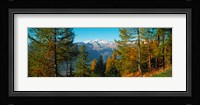 Trees in autumn at Simplon Pass, Valais Canton, Switzerland (horizontal) Fine Art Print