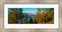 Trees in autumn at Simplon Pass, Valais Canton, Switzerland (horizontal) Fine Art Print