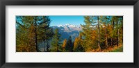 Trees in autumn at Simplon Pass, Valais Canton, Switzerland (horizontal) Fine Art Print