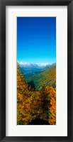 Trees in autumn at Simplon Pass, Valais Canton, Switzerland (vertical) Fine Art Print