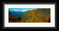 Trees with road in autumn at Simplon Pass, Valais Canton, Switzerland Fine Art Print