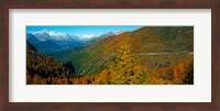 Trees with road in autumn at Simplon Pass, Valais Canton, Switzerland Fine Art Print
