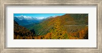 Trees with road in autumn at Simplon Pass, Valais Canton, Switzerland Fine Art Print
