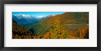 Trees with road in autumn at Simplon Pass, Valais Canton, Switzerland Fine Art Print