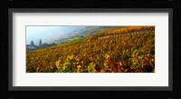 Vineyards and village in autumn, Valais Canton, Switzerland Fine Art Print