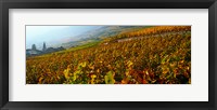 Vineyards and village in autumn, Valais Canton, Switzerland Fine Art Print