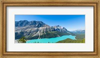 Peyto Lake at Banff National Park, Alberta, Canada Fine Art Print