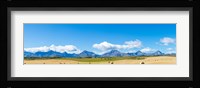 Hay bales in a field with Canadian Rockies in the background, Alberta, Canada Fine Art Print