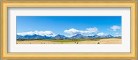 Hay bales in a field with Canadian Rockies in the background, Alberta, Canada Fine Art Print