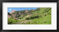 Wilderness area and Snake River, Crested Butte, Colorado, USA Fine Art Print