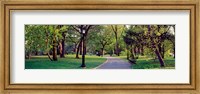 Trees in a public park, Central Park, Manhattan, New York City, New York State, USA Fine Art Print