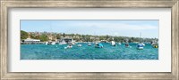 Boats docked at Watsons Bay, Sydney, New South Wales, Australia Fine Art Print