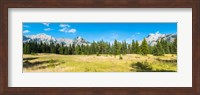 Trees with mountain range in the background, Banff National Park, Alberta, Canada Fine Art Print