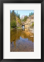 Flowing stream in a forest, Banff National Park, Alberta, Canada Fine Art Print