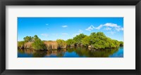 Reflection of trees in a lake, Big Cypress Swamp National Preserve, Florida, USA Fine Art Print
