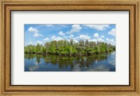 Reflection of trees in the river, Hillsborough River, Lettuce Lake Park, Hillsborough County, Florida, USA Fine Art Print