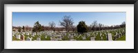 Tombstones in a cemetery, Arlington National Cemetery, Arlington, Virginia, USA Fine Art Print