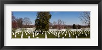 Headstones in a cemetery, Arlington National Cemetery, Arlington, Virginia, USA Fine Art Print