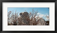 Cherry trees in front of a memorial, Martin Luther King Jr. National Memorial, Washington DC, USA Fine Art Print