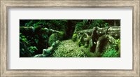 Wooden bridge in the subtropical forest, Parque Lage, Jardim Botanico, Corcovado, Rio de Janeiro, Brazil Fine Art Print