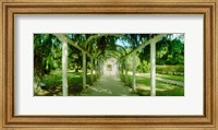 Pathway in a botanical garden, Jardim Botanico, Zona Sul, Rio de Janeiro, Brazil Fine Art Print