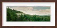 Trees along the Gertrude's Nose, Minnewaska State Park, Catskill Mountains, New York State, USA Fine Art Print