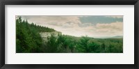 Trees along the Gertrude's Nose, Minnewaska State Park, Catskill Mountains, New York State, USA Fine Art Print