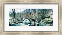 River flowing through a valley, Hudson Valley, New York State Fine Art Print